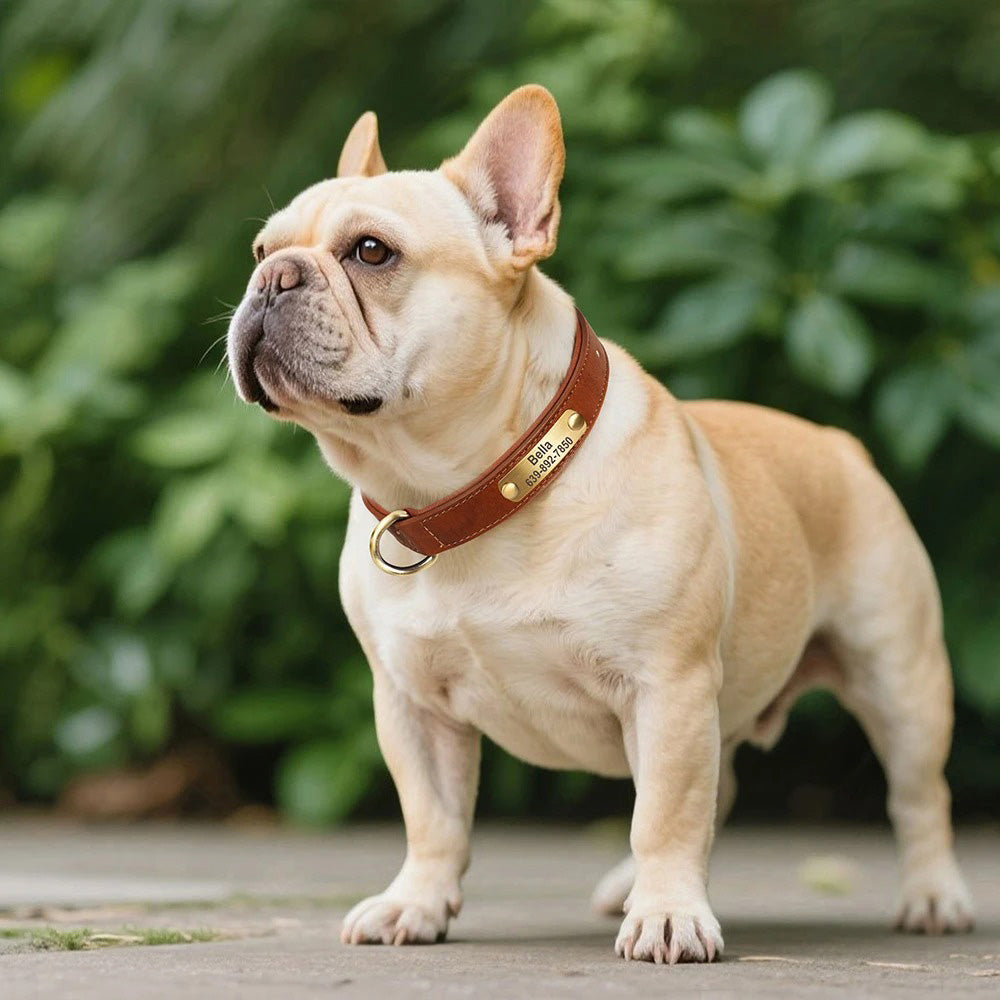 Köpek Tasması Deri isimli Tasma 77157