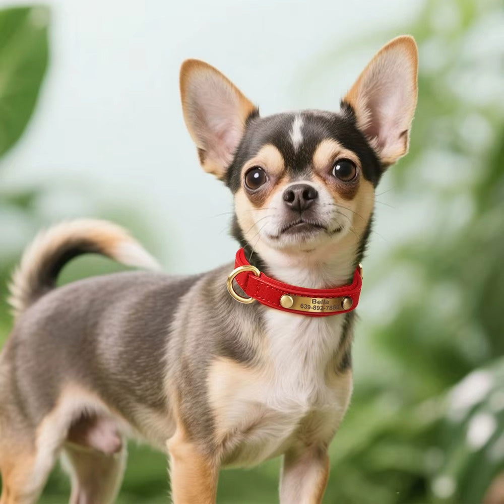 Köpek Tasması Deri isimli Tasma 77157