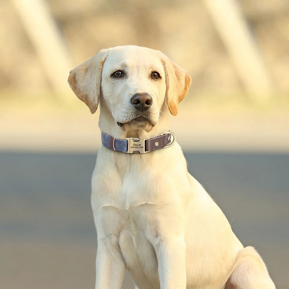 Köpek Tasması  İsimli Boyun Tasma 049141
