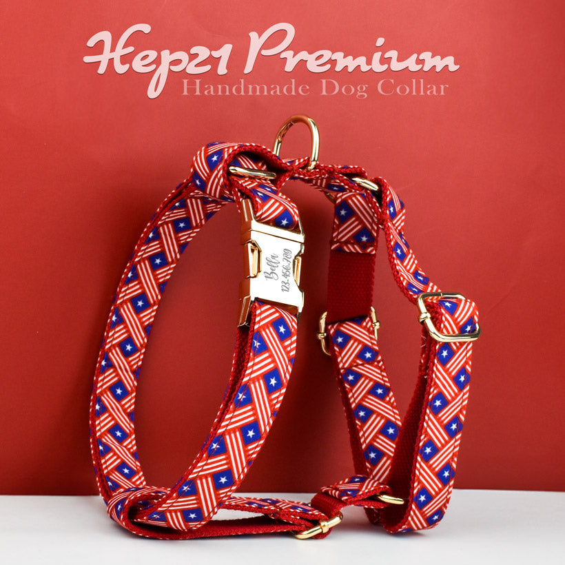 Köpek Boyun Tasması İsimli Kırmızı Mavi Flag 77816