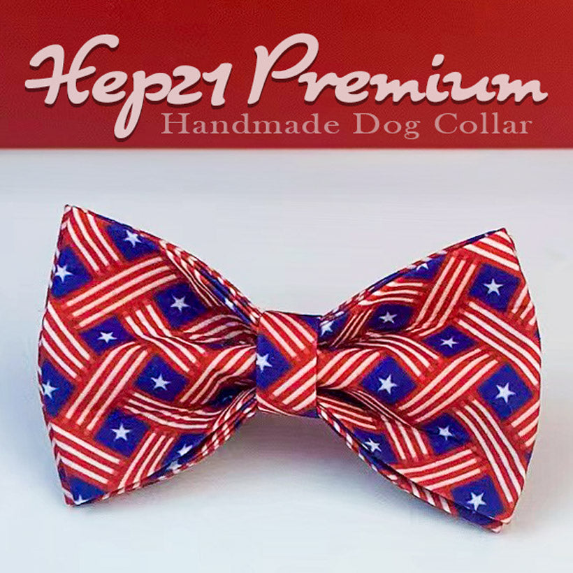 Köpek Boyun Tasması İsimli Kırmızı Mavi Flag 77816