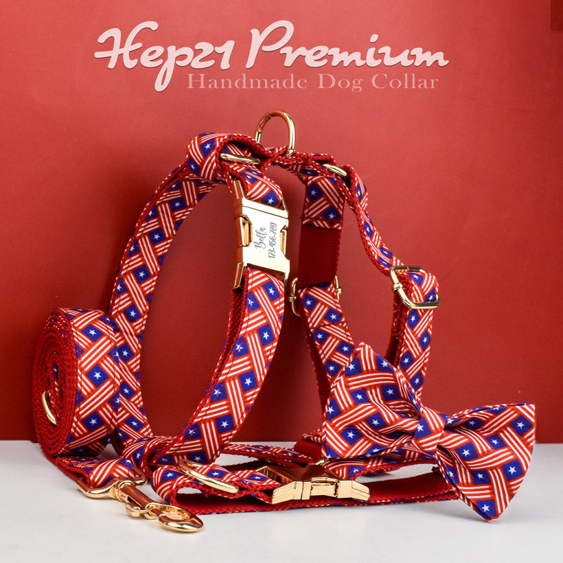 Köpek Boyun Tasması İsimli Kırmızı Mavi Flag 77816