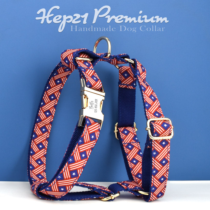 Köpek Boyun Tasması İsimli Mavi Kırmızı Flag 70322