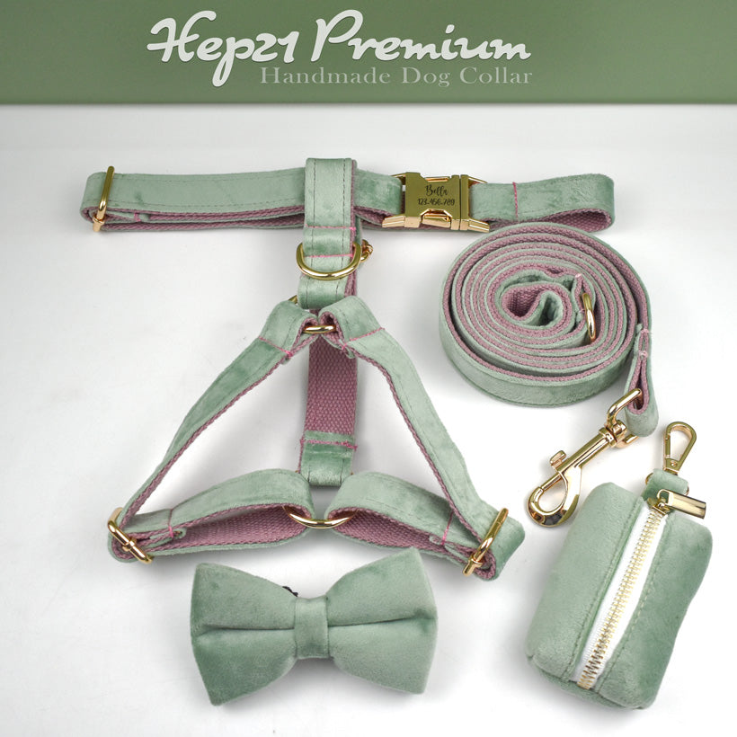 Köpek Boyun Tasması İsimli Nane-Pembe Kadife 674835