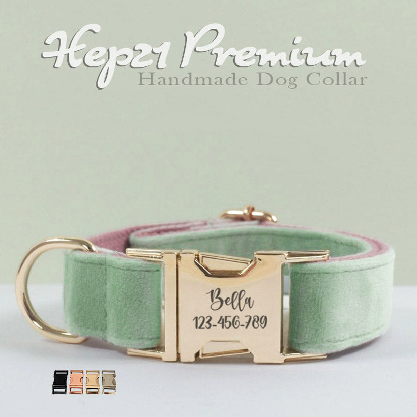 Köpek Boyun Tasması İsimli Nane-Pembe Kadife 674835