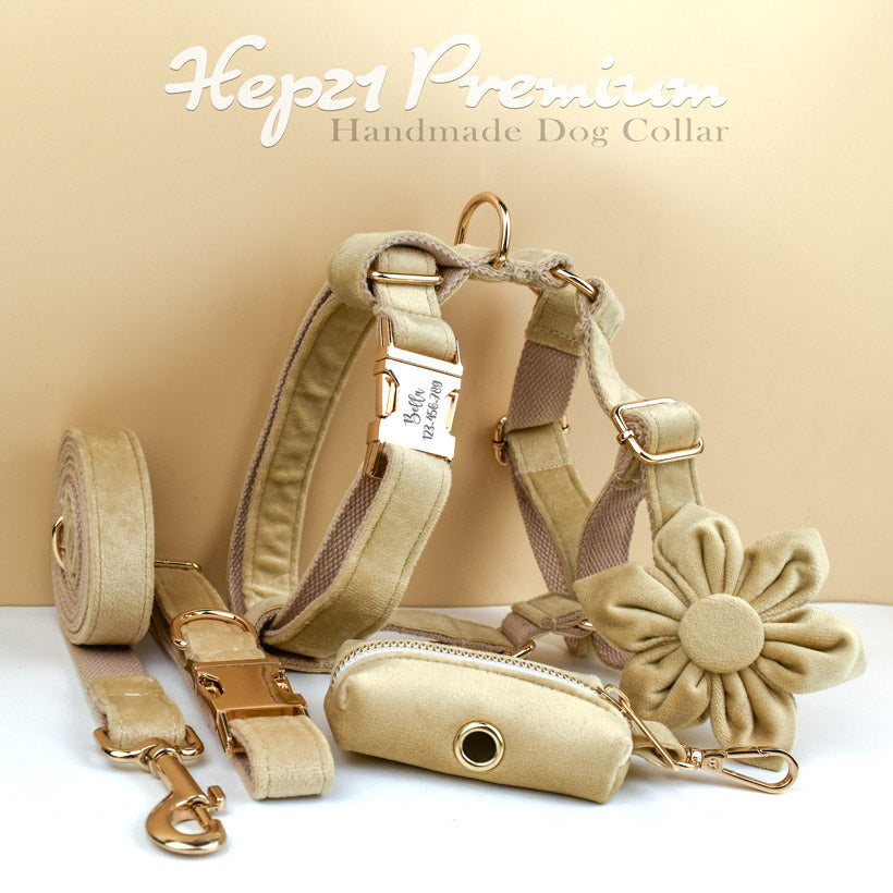Köpek Boyun Tasması İsimli Bej 97084