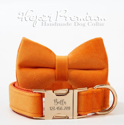 Dog Collar Named Orange Velvet Collar 865315