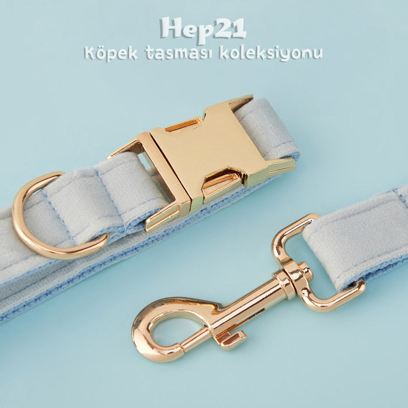 Köpek Boyun Tasması İsimli Buz Mavi Kadife 886441