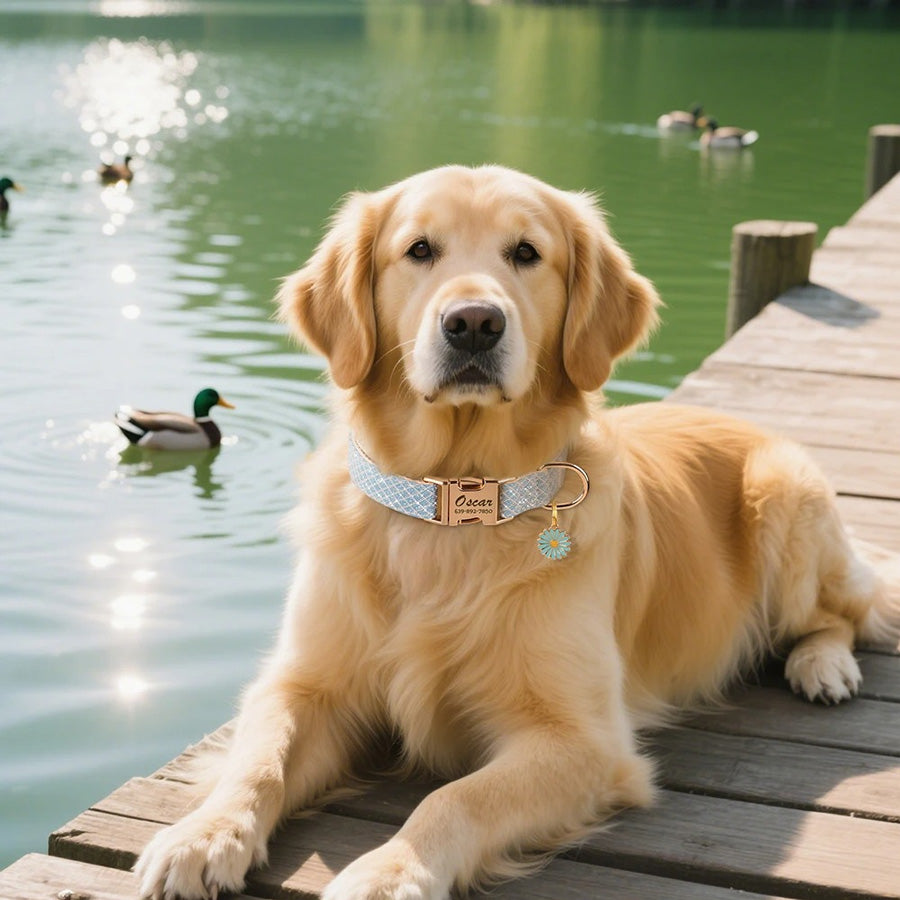Köpek Tasması  İsme Özel Simli Çiçekli Tasarım 67593