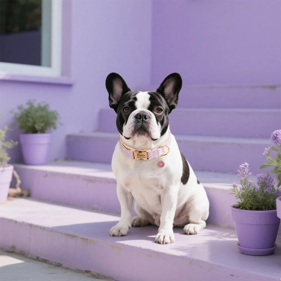 Köpek Tasması  İsme Özel Simli Çiçekli Tasarım 67593