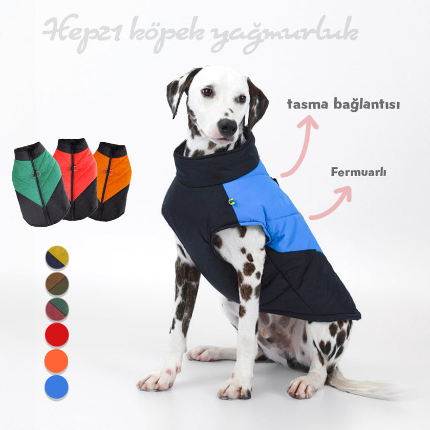 Köpek Yağmurluk Kolay Kullanım