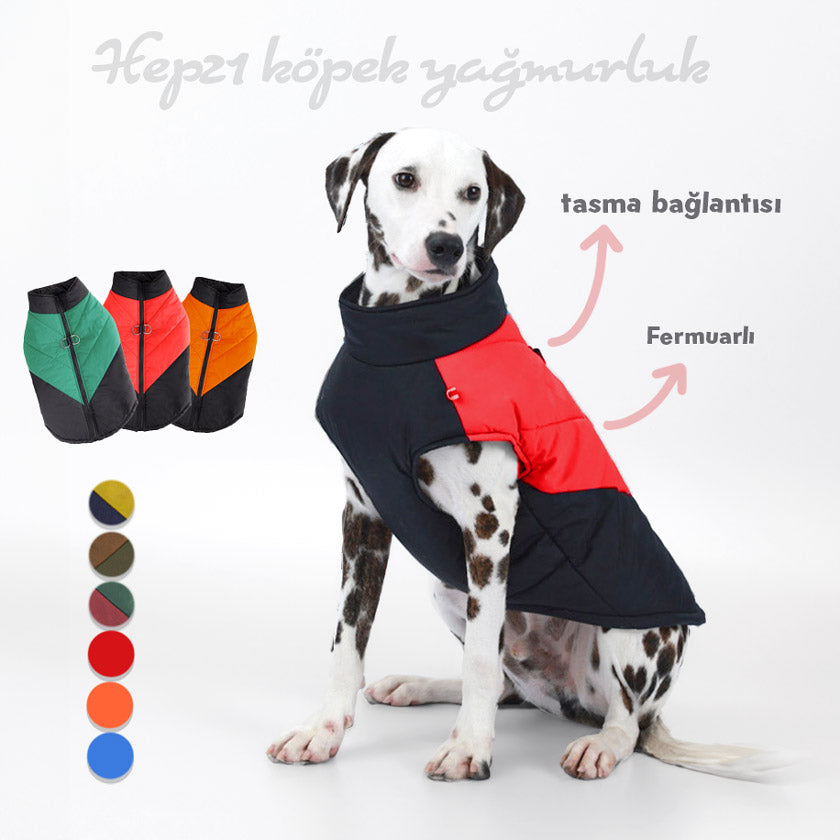 Köpek Yağmurluk Kolay Kullanım