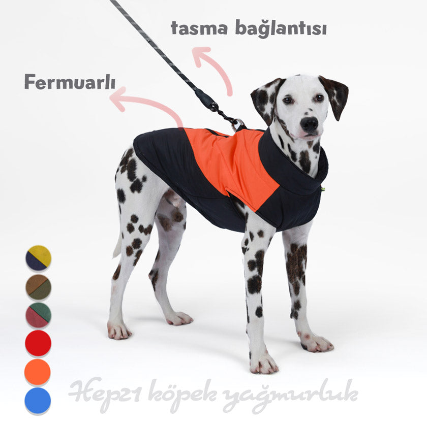 Köpek Yağmurluk Kolay Kullanım