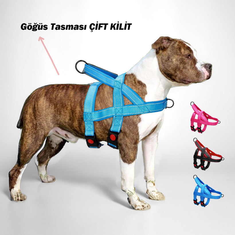Köpek göğüs tasması ÇİFT KİLİT 46190926