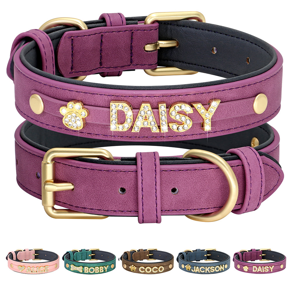 Köpek tasması Bling Charm İsimli Boyun Tasması 
