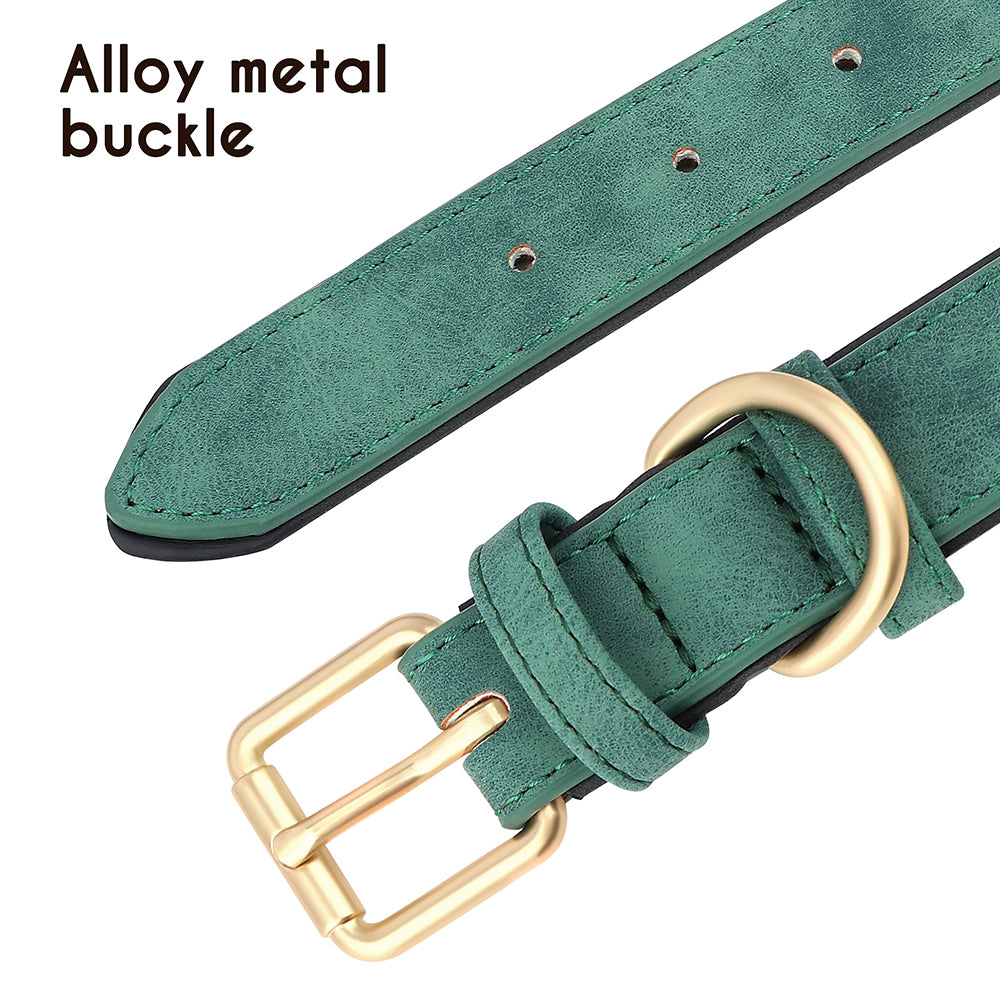 Köpek tasması Bling Charm İsimli Boyun Tasması 