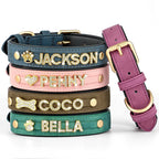 Köpek tasması Bling Charm İsimli Boyun Tasması 139294