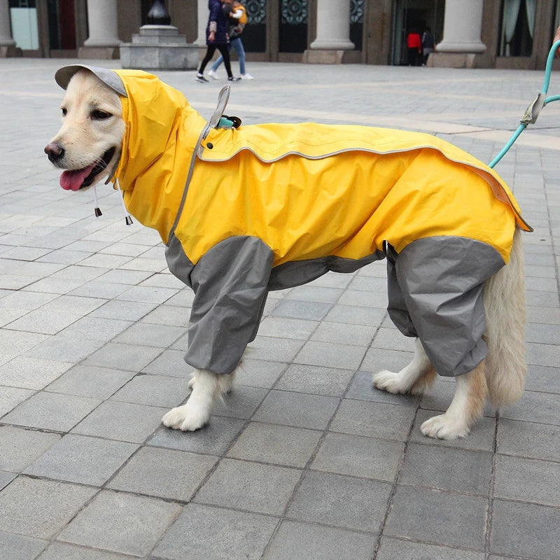 Köpek yağmurluk