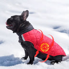 Köpek Yağmurluğu Çift Taraflı Reflective 79528