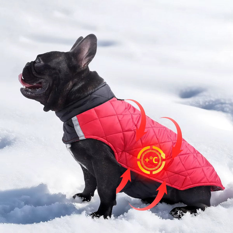 Köpek Yağmurluğu Çift Taraflı Reflective 79528