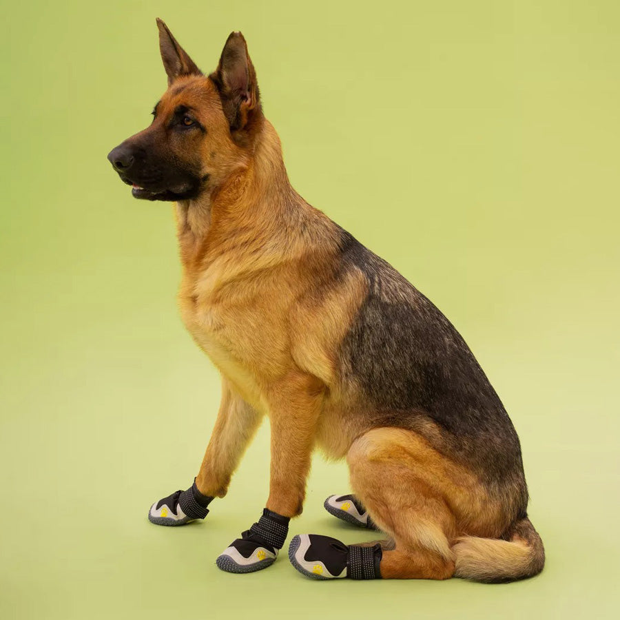 Köpek Ayakkabısı Reflective 32040