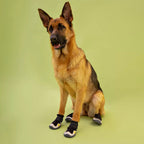 Köpek Ayakkabısı Reflective 32040