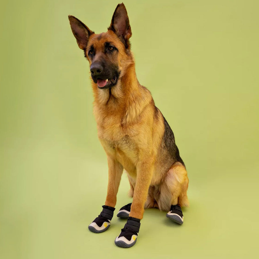 Köpek Ayakkabısı Reflective 32040