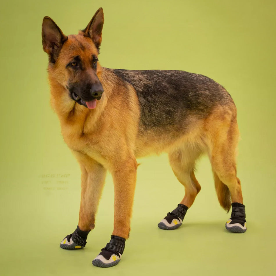 Köpek Ayakkabısı Reflective 32040