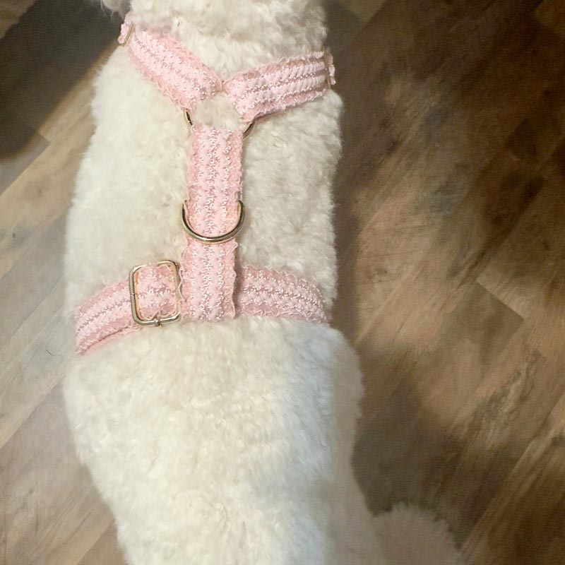 Köpek Boyun Tasması İsimli Dantel 412402