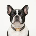 Köpek Boyun Tasması İsimli Çiçek Desenli 96835