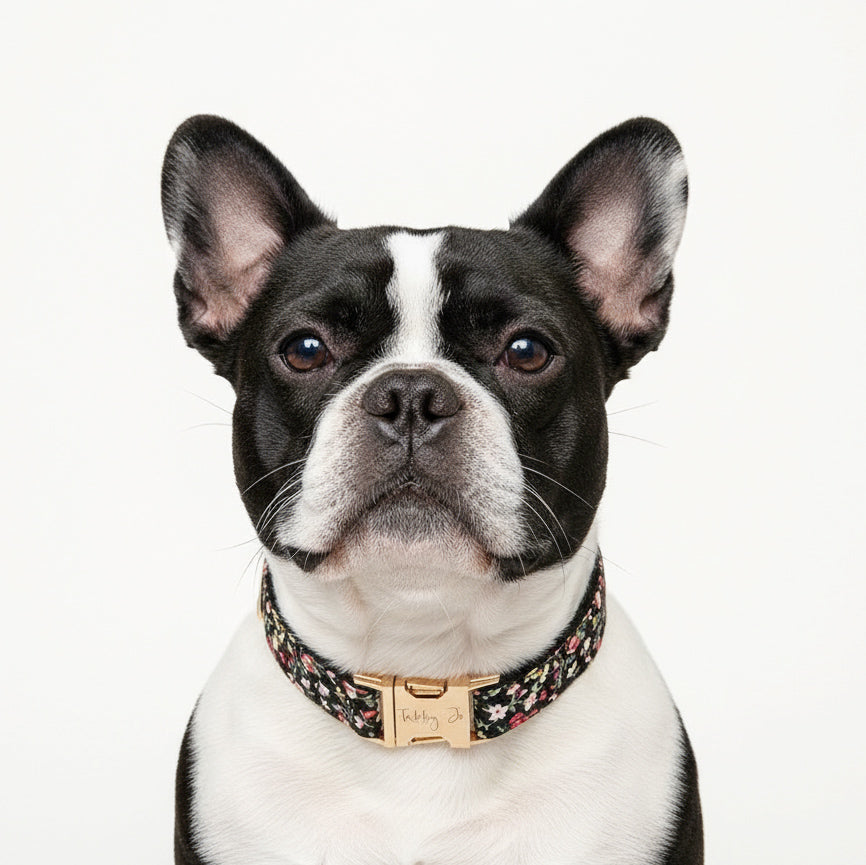Köpek Boyun Tasması İsimli Çiçek Desenli 96835