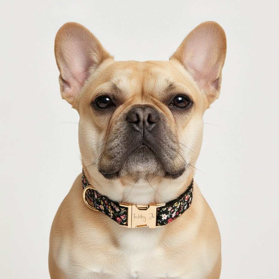 Köpek Boyun Tasması İsimli Çiçek Desenli 96835