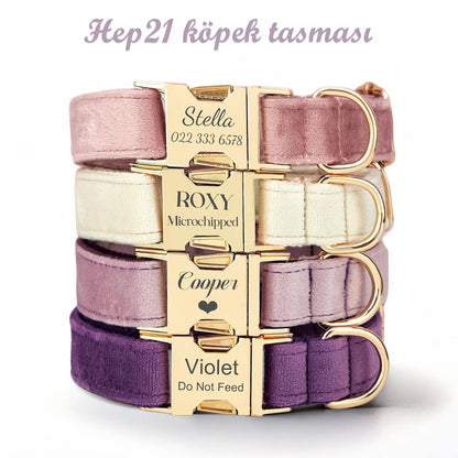 Köpek Boyun Tasması İsimli Kadife 28396