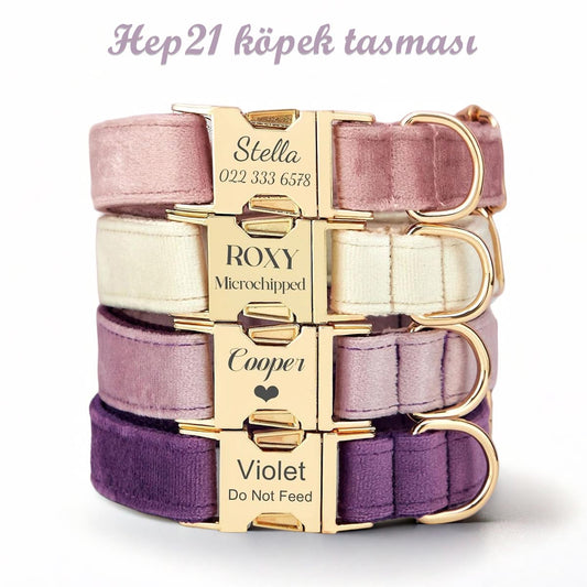Köpek Boyun Tasması İsimli Kadife 28396