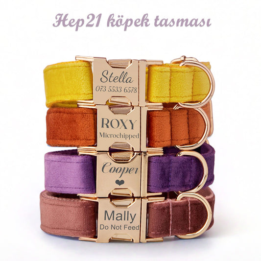 Köpek Boyun Tasması İsimli Kadife 14470