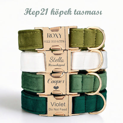 Köpek Boyun Tasması İsimli Kadife 32052