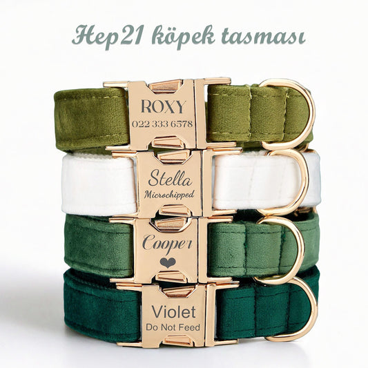 Köpek Boyun Tasması İsimli Kadife 32052
