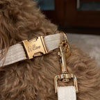 Köpek Boyun Tasması İsimli Fitilli Kadife Tasama 11587