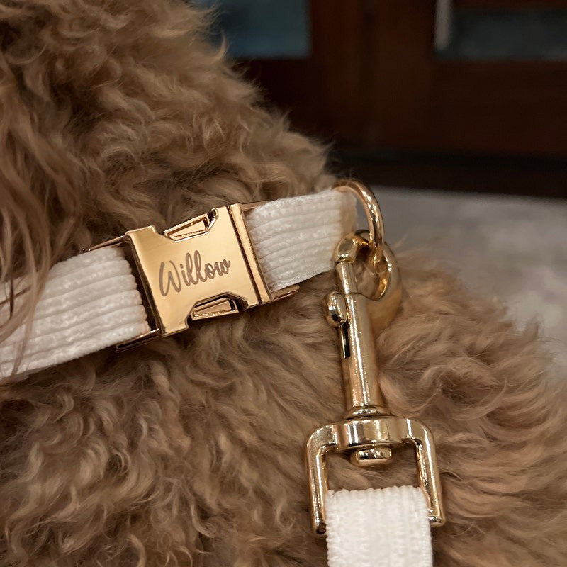 Köpek Boyun Tasması İsimli Krem Kadife 776032