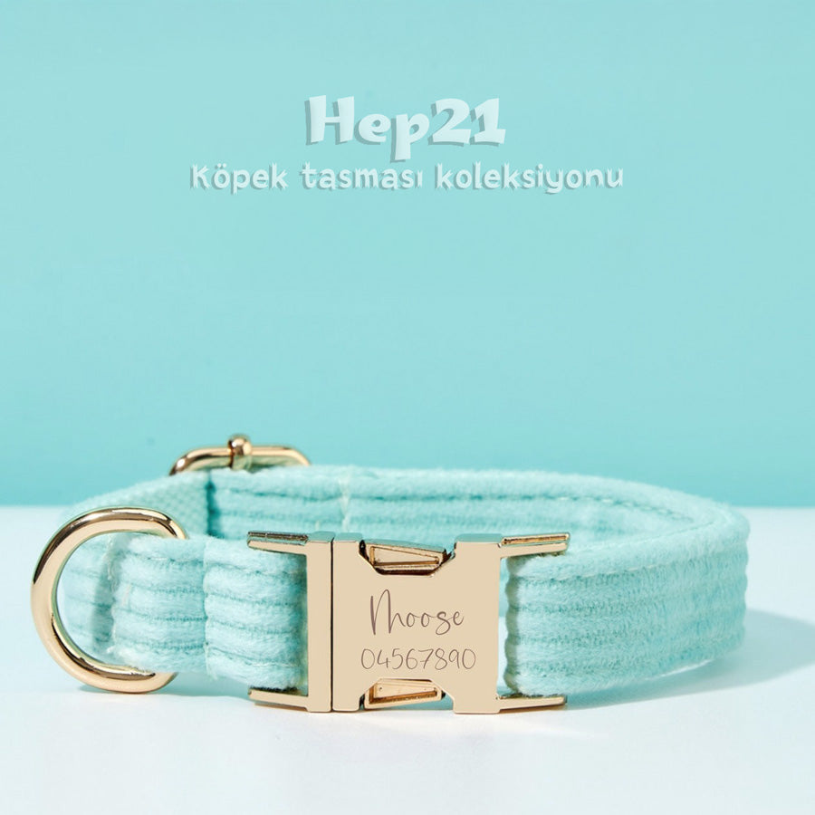 Köpek Boyun Tasması İsimli Göl Yeşili Kadife 681532