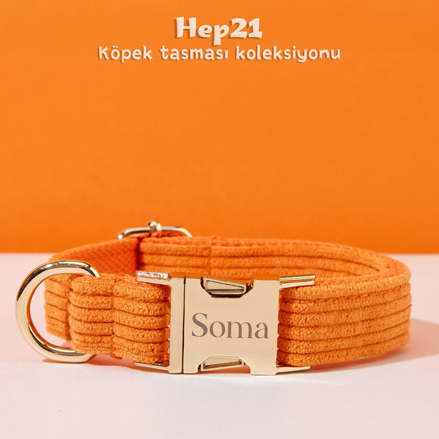 Köpek Boyun Tasması İsimli Turuncu Kadife 541506