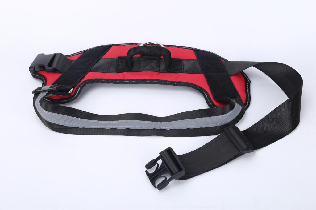 Köpek Göğüs Tasması İSİMLİ 28219358