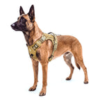 Köpek Göğüs Tasması Yansıtıcı 29189