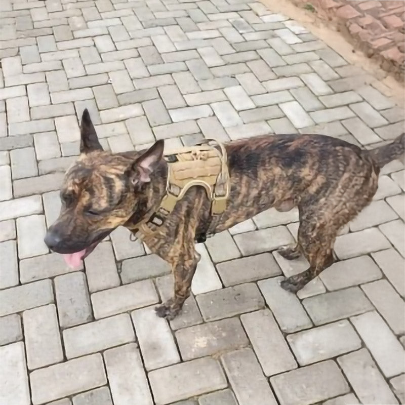 Köpek Göğüs Tasması Yansıtıcı 29189