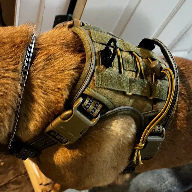 Köpek Göğüs Tasması Yansıtıcı 29189