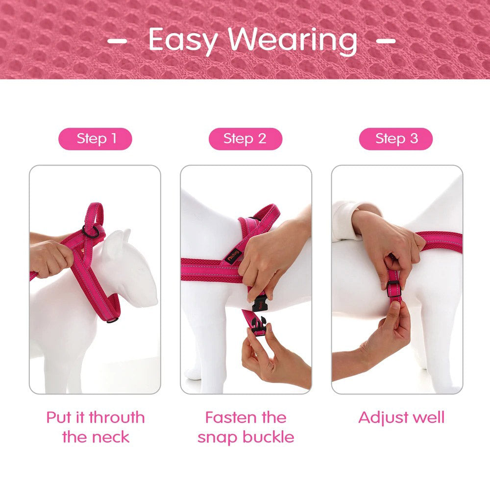 Köpek Göğüs Tasması Yastıklı Reflective 869512