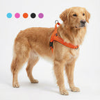 Köpek Göğüs Tasması Yastıklı Reflective 869512