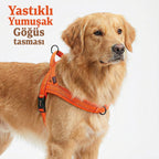 Köpek Göğüs Tasması Yastıklı Reflective 869512