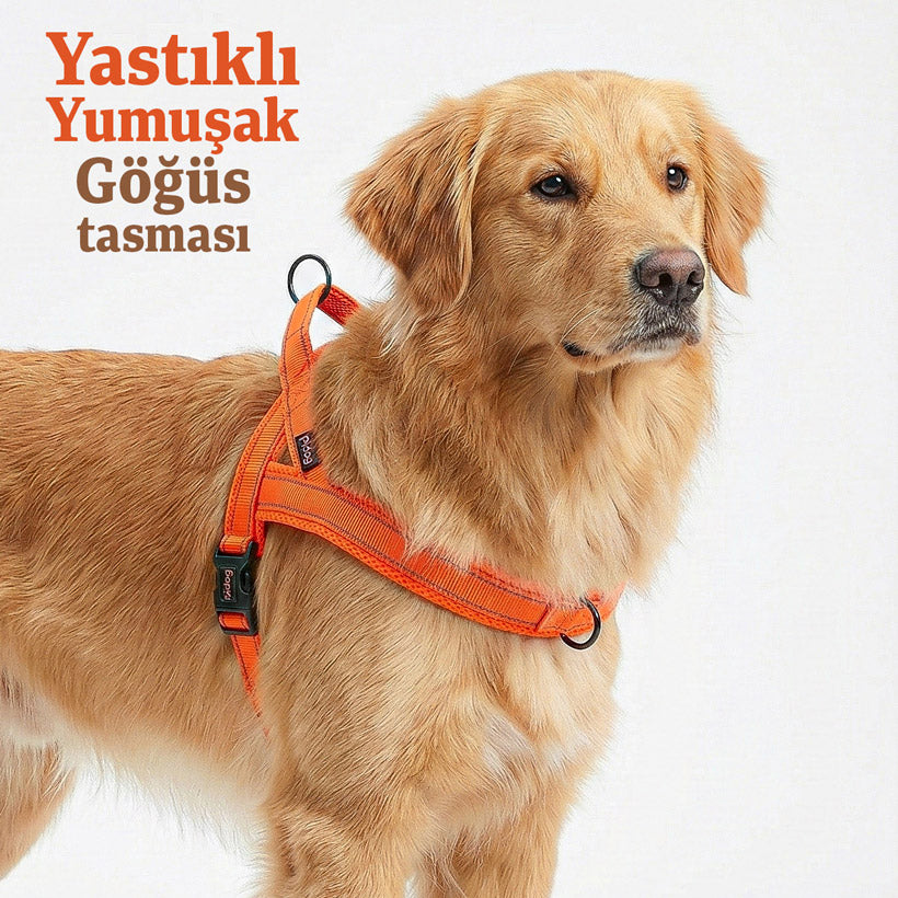 Köpek Göğüs Tasması Yastıklı Reflective 869512