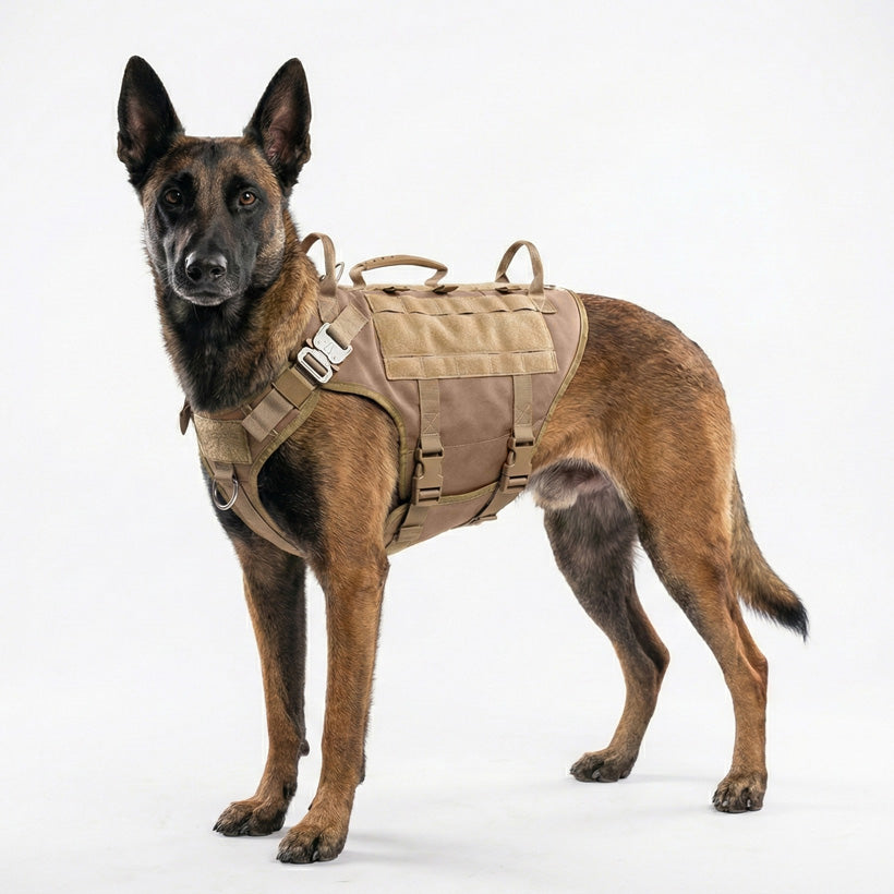 Köpek Göğüs Tasması 01380